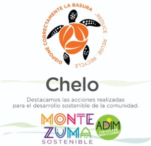Certificado por obtener el sello tortuga sostenible