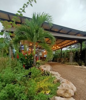 nuevorestaurante2024-1
